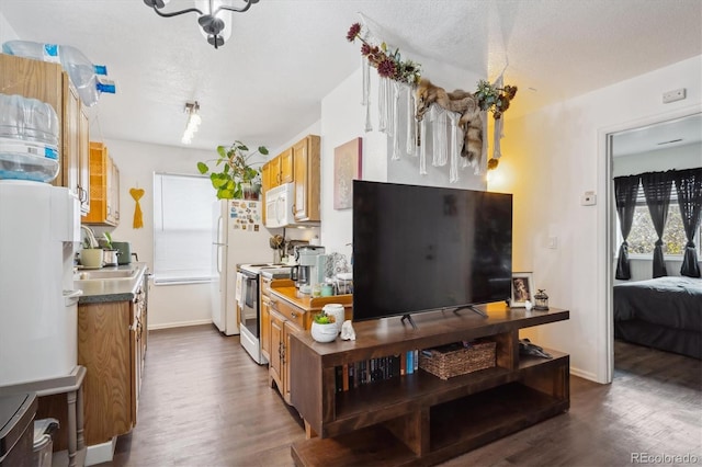 kitchen with a textured ceiling, dark hardwood / wood-style flooring, white appliances, and sink