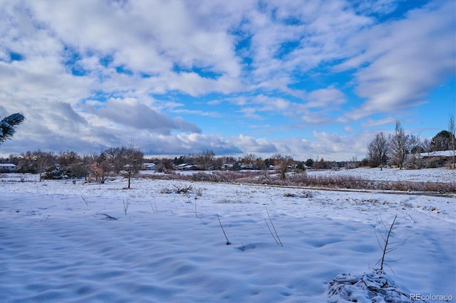 view of yard covered in snow