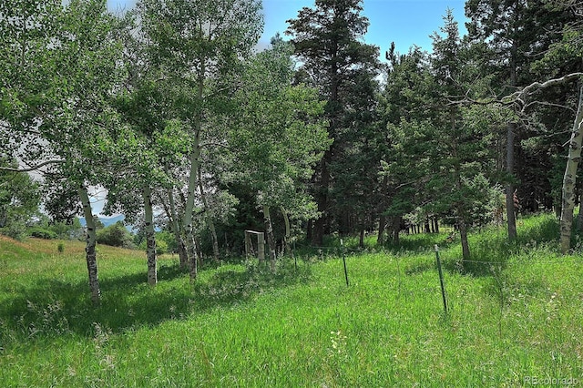 13884 N Trail Cir, Littleton, CO 80127 - photo 2