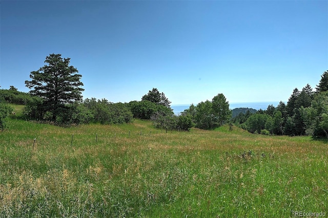 13884 N Trail Cir, Littleton, CO 80127 - photo 8