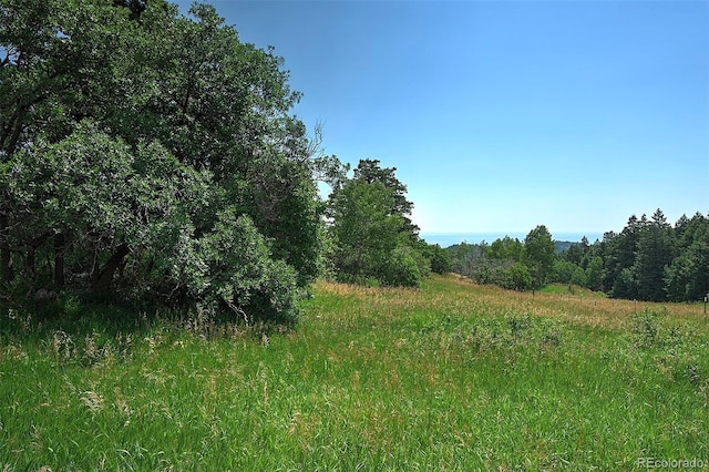 13884 N Trail Cir, Littleton, CO 80127 - photo 10