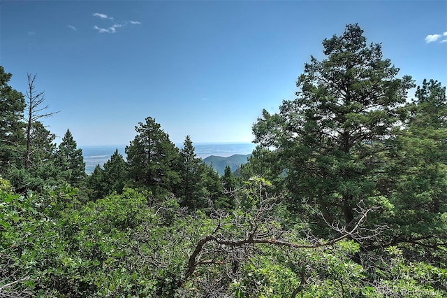 13884 N Trail Cir, Littleton, CO 80127 - photo 17