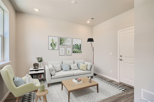 living room with wood-type flooring and a healthy amount of sunlight