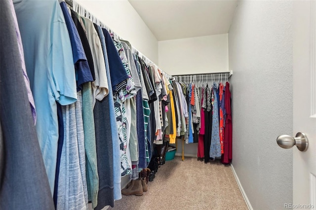 walk in closet featuring carpet
