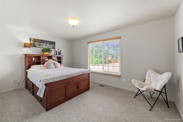 369 Sunlight Way, Canon City, CO 81212 - photo 21