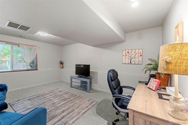 369 Sunlight Way, Canon City, CO 81212 - photo 23