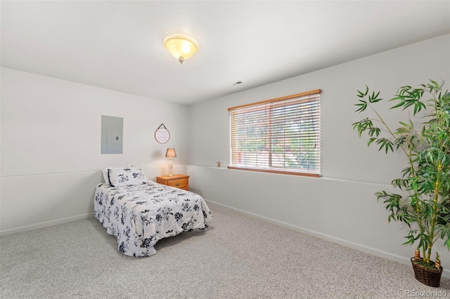 369 Sunlight Way, Canon City, CO 81212 - photo 26