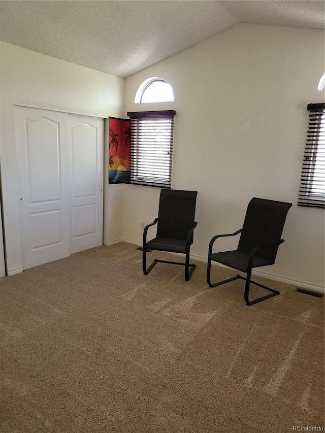 2619 S Iris Ct, Lakewood, CO 80227 - living area with lofted ceiling, carpet flooring, a textured ceiling, and baseboards