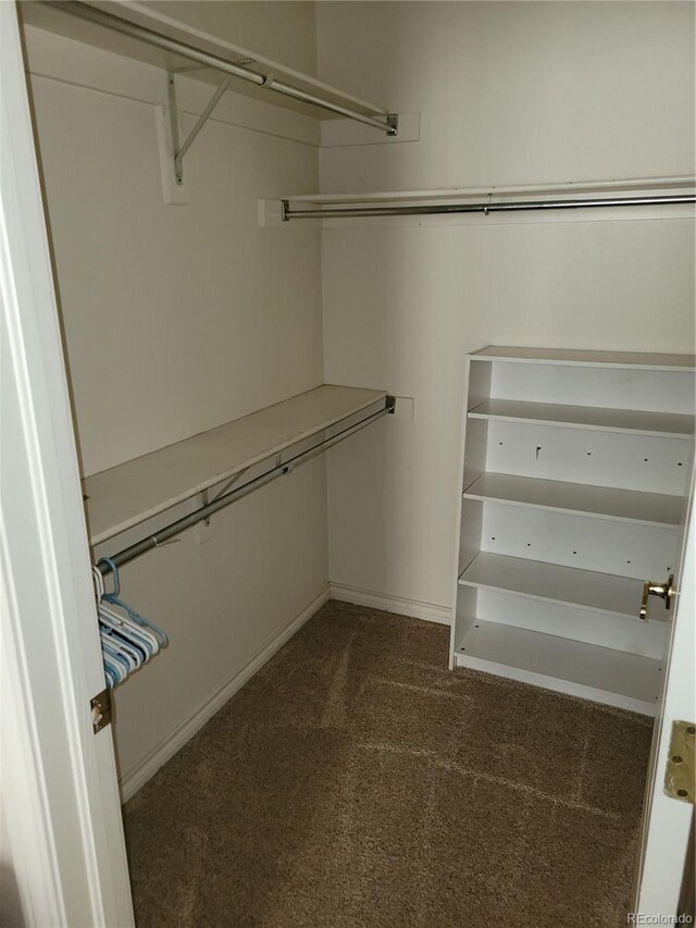 2619 S Iris Ct, Lakewood, CO 80227 - spacious closet featuring carpet floors
