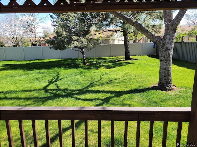 2619 S Iris Ct, Lakewood, CO 80227 - view of yard
