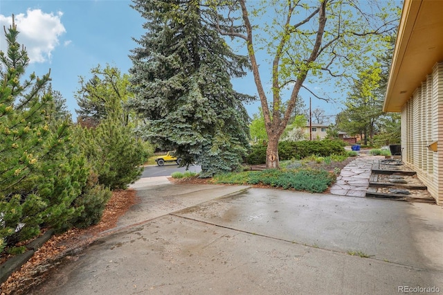 view of yard featuring a patio area