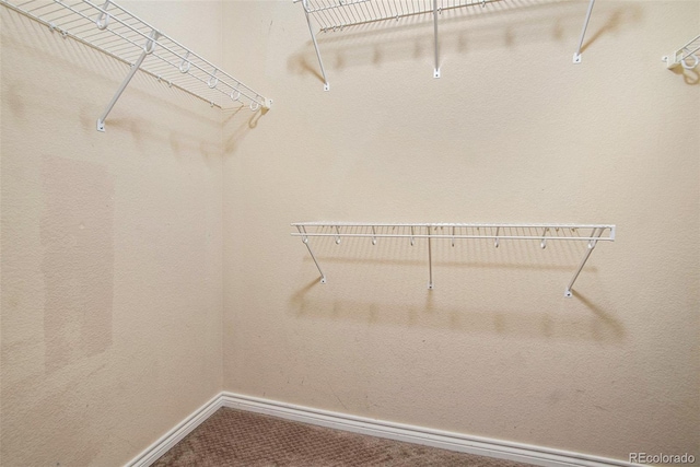 11714 W Stanford Dr, Morrison, CO 80465 - photo 14