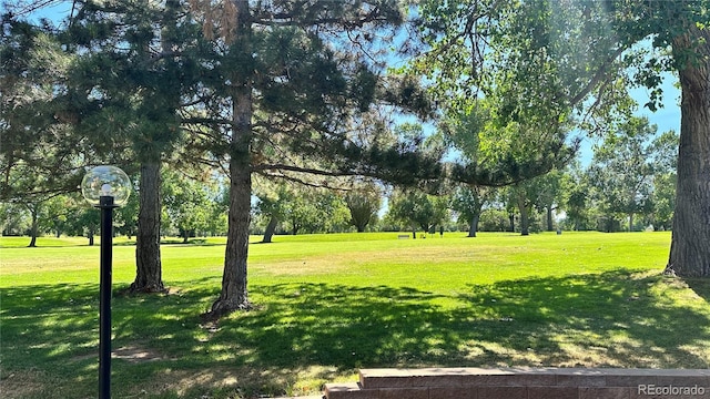 13894 E Lehigh Ave Unit G, Aurora, CO 80014 - view of grassy yard