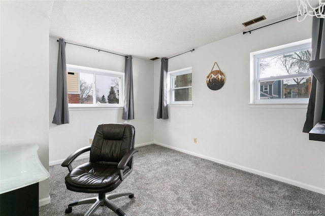 carpeted office with plenty of natural light and a textured ceiling