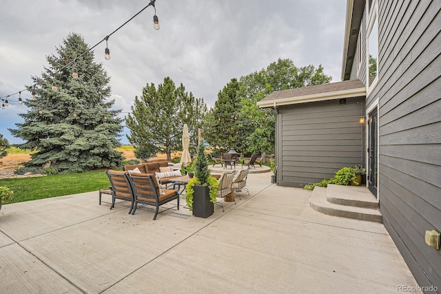 1949 Kaplan Dr, Windsor, CO 80550 - photo 42