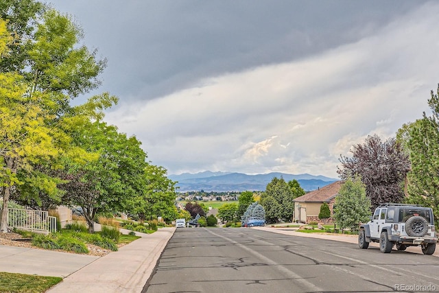 1949 Kaplan Dr, Windsor, CO 80550 - photo 49