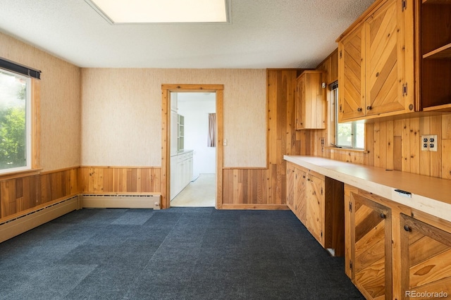 kitchen featuring a wainscoted wall, dark colored carpet, light countertops, a textured ceiling, and wood walls