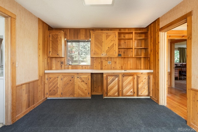 interior space featuring a wainscoted wall, open shelves, light countertops, dark carpet, and wood walls