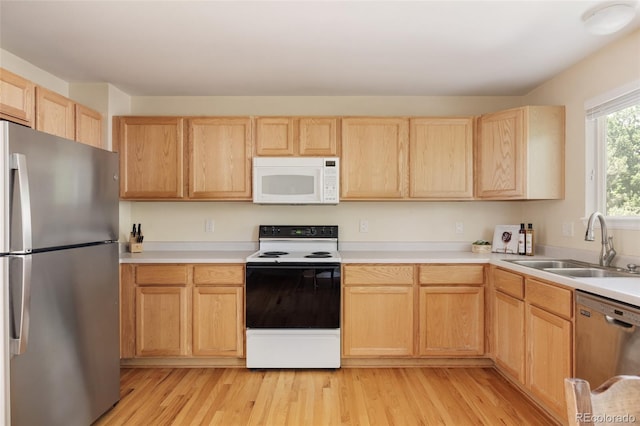 21105 Willow Park Pl, Parker, CO 80138 - kitchen featuring stainless steel appliances, light brown cabinetry, light wood-type flooring, and light countertops