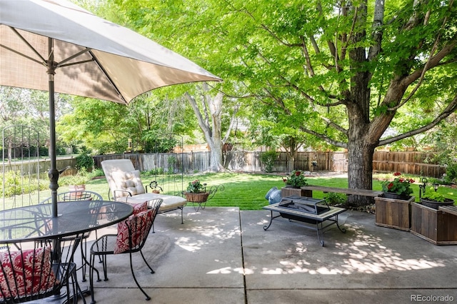 21105 Willow Park Pl, Parker, CO 80138 - fenced backyard with a patio and outdoor dining area