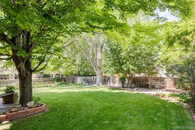 21105 Willow Park Pl, Parker, CO 80138 - view of fenced backyard