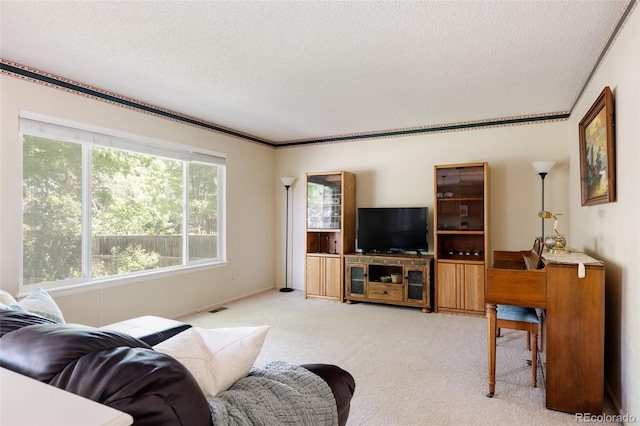 21105 Willow Park Pl, Parker, CO 80138 - living area featuring carpet floors and a textured ceiling
