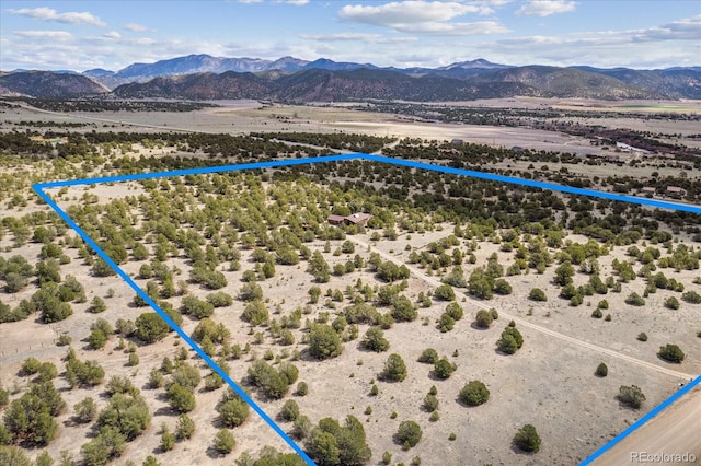 birds eye view of property featuring a mountain view