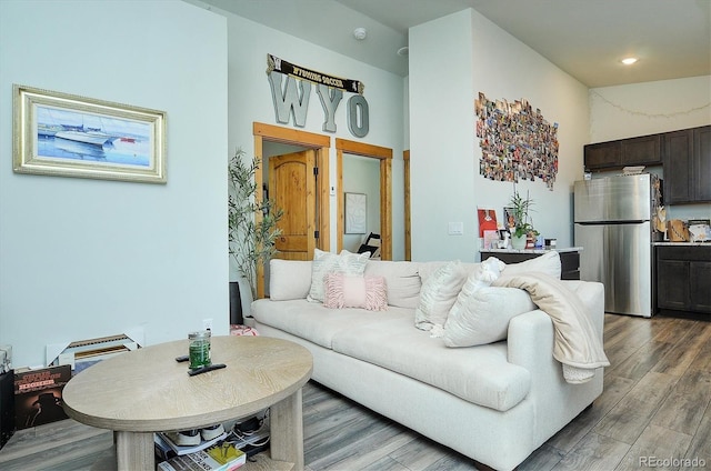 146 Raven Way, Buena Vista, CO 81211 - living area with light wood-style flooring and recessed lighting