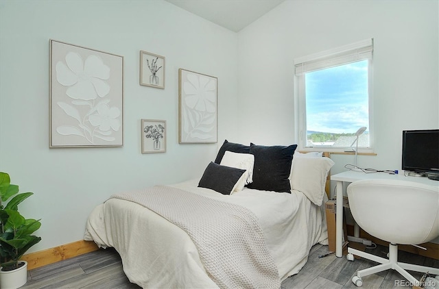 146 Raven Way, Buena Vista, CO 81211 - bedroom featuring wood finished floors and an office area