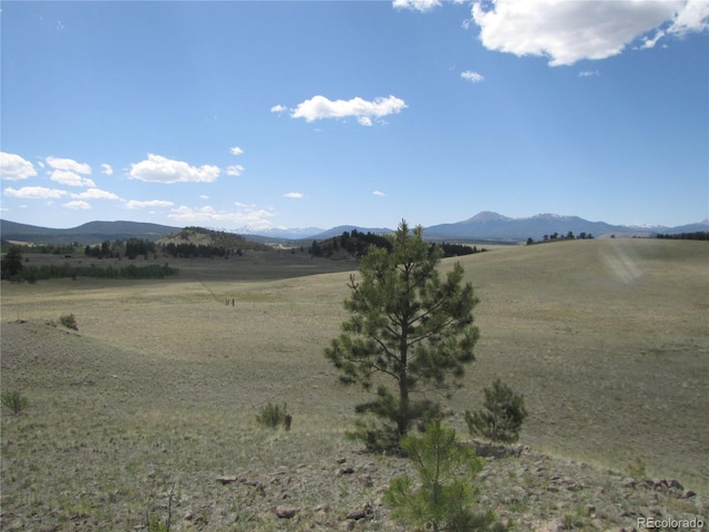 499 Saddle Horn Rd, Hartsel, CO 80449