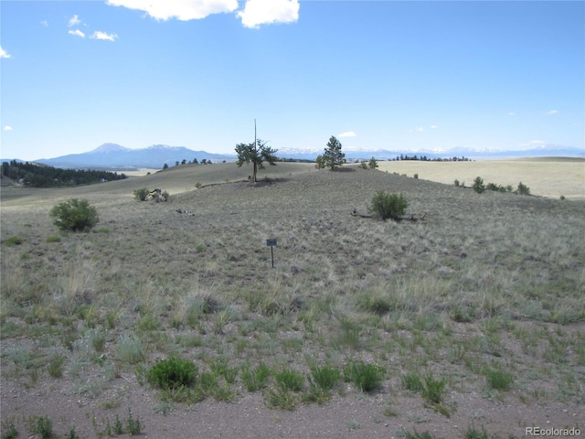 499 Saddle Horn Rd, Hartsel, CO 80449