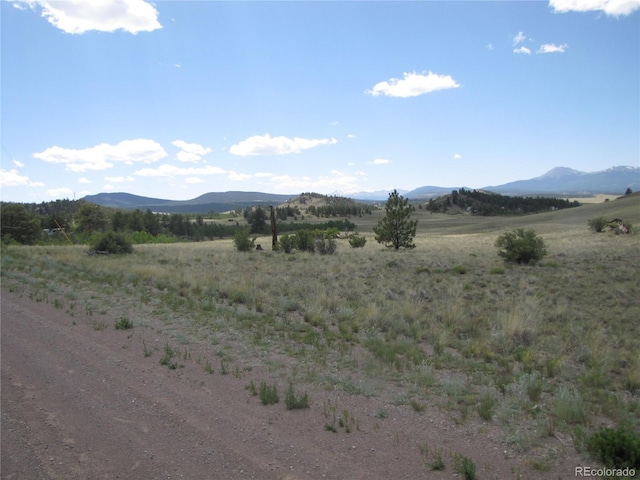 499 Saddle Horn Rd, Hartsel, CO 80449