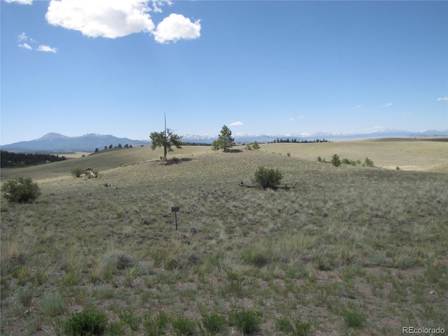 499 Saddle Horn Rd, Hartsel, CO 80449