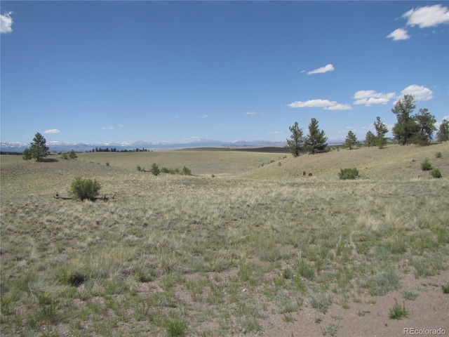 499 Saddle Horn Rd, Hartsel, CO 80449