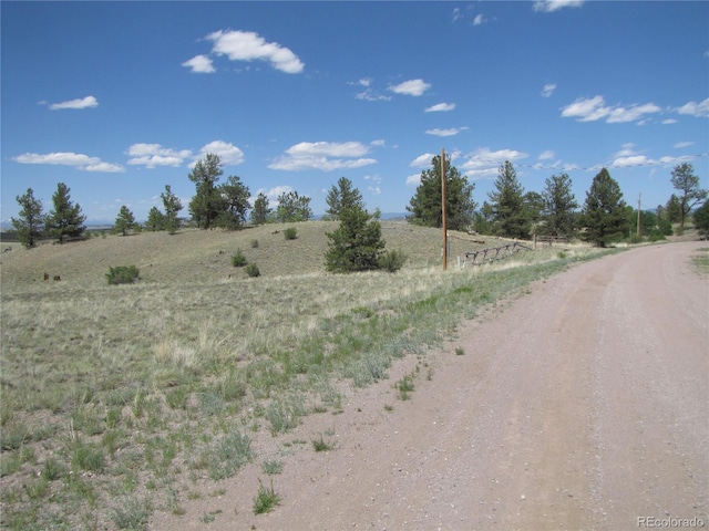 499 Saddle Horn Rd, Hartsel, CO 80449