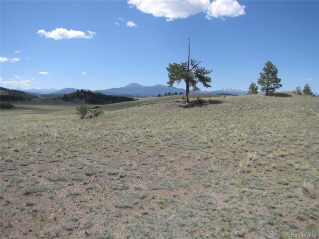 499 Saddle Horn Rd, Hartsel, CO 80449