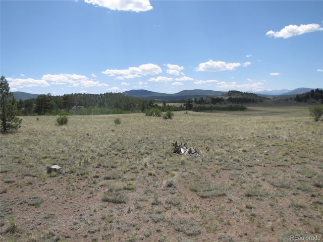 499 Saddle Horn Rd, Hartsel, CO 80449