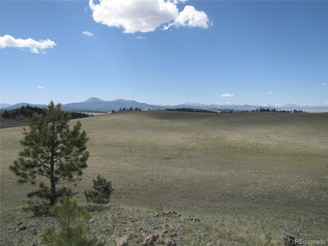 499 Saddle Horn Rd, Hartsel, CO 80449