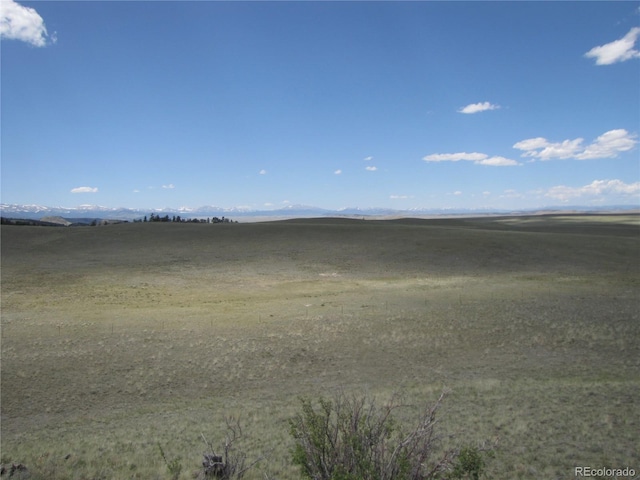 499 Saddle Horn Rd, Hartsel, CO 80449