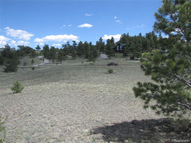 499 Saddle Horn Rd, Hartsel, CO 80449