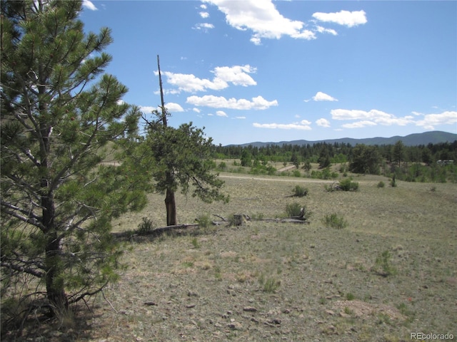499 Saddle Horn Rd, Hartsel, CO 80449
