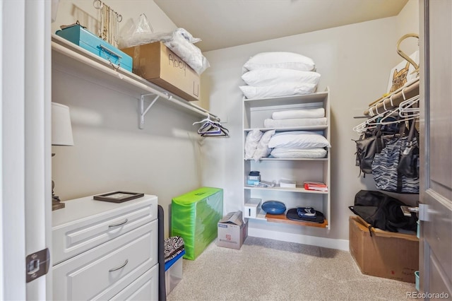 walk in closet featuring carpet floors