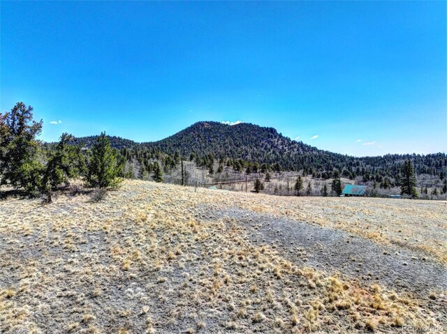 499 Kiowa St, Como, CO 80432