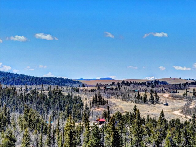499 Kiowa St, Como, CO 80432