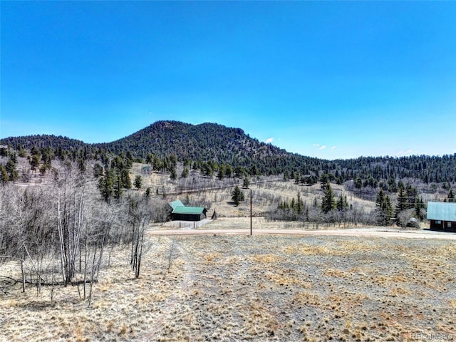499 Kiowa St, Como, CO 80432