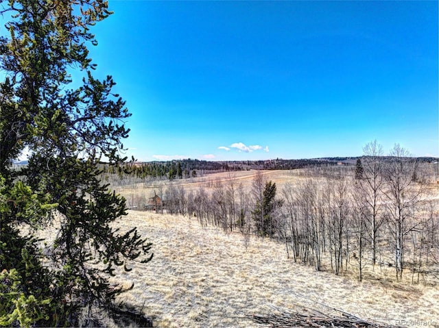 499 Kiowa St, Como, CO 80432