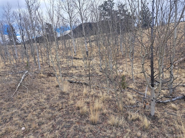 499 Kiowa St, Como, CO 80432