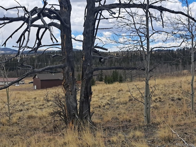 499 Kiowa St, Como, CO 80432