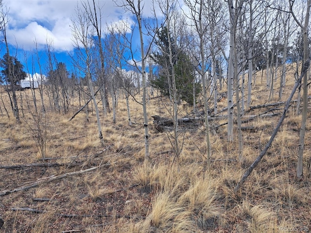 499 Kiowa St, Como, CO 80432