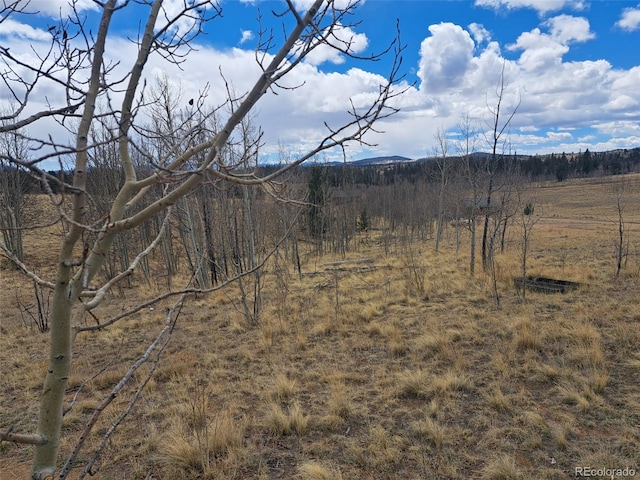 499 Kiowa St, Como, CO 80432